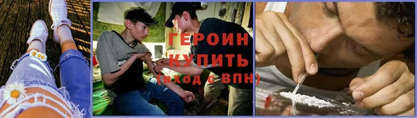 ГАЛЛЮЦИНОГЕННЫЕ ГРИБЫ Богданович