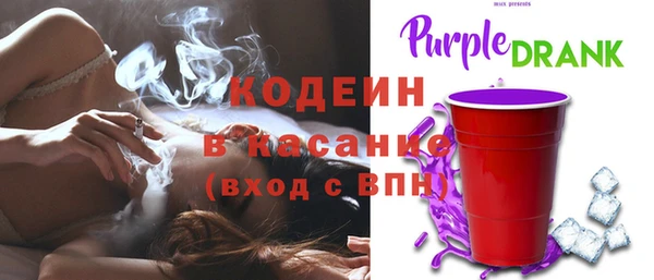 ГАЛЛЮЦИНОГЕННЫЕ ГРИБЫ Богданович
