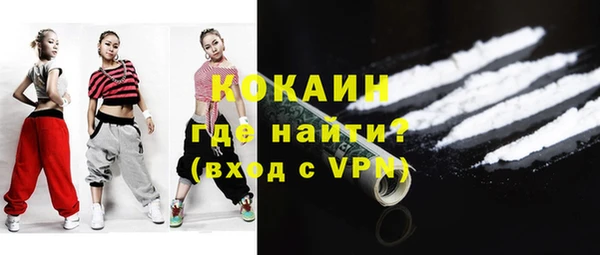 ГАЛЛЮЦИНОГЕННЫЕ ГРИБЫ Богданович
