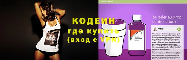 ГАЛЛЮЦИНОГЕННЫЕ ГРИБЫ Богданович