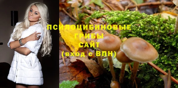 круглые Богородицк