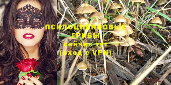круглые Богородицк