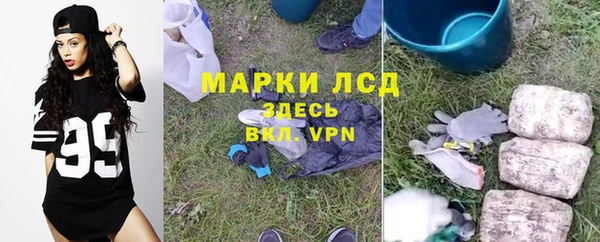 ГАЛЛЮЦИНОГЕННЫЕ ГРИБЫ Богданович
