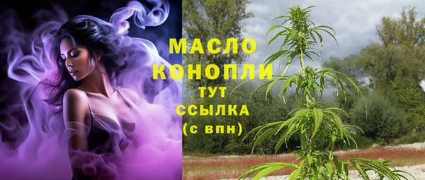 ГАЛЛЮЦИНОГЕННЫЕ ГРИБЫ Богданович